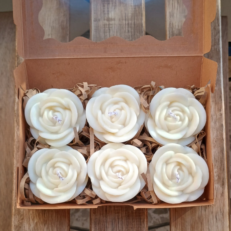 Rosas Eternas - Pack x6 velas