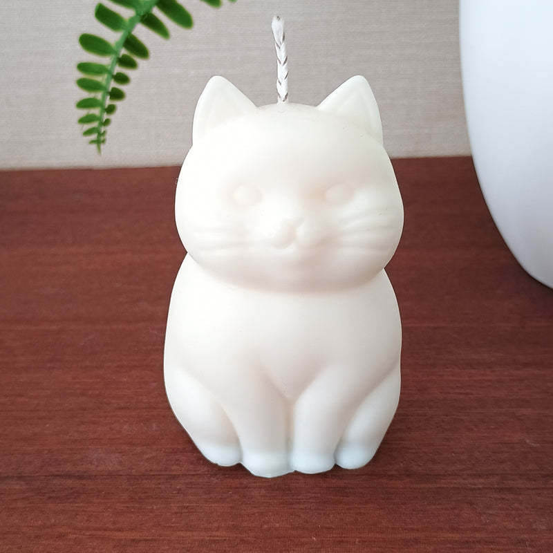 Vela Gato Regordete