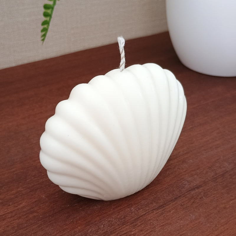 Vela Concha de Mar