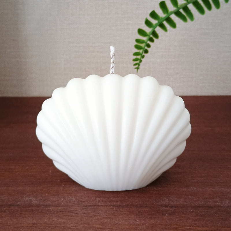 Vela Concha de Mar